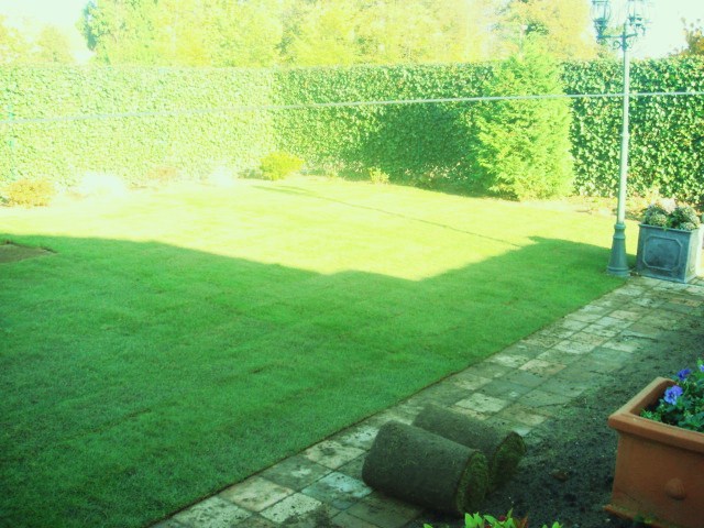 Elversele November 2006